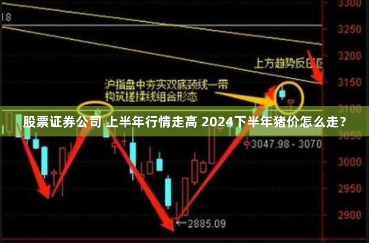 股票证券公司 上半年行情走高 2024下半年猪价怎么走？